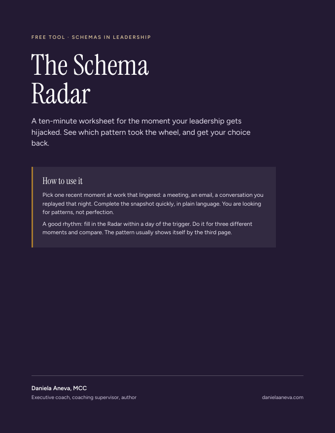 The Schema Radar worksheet cover