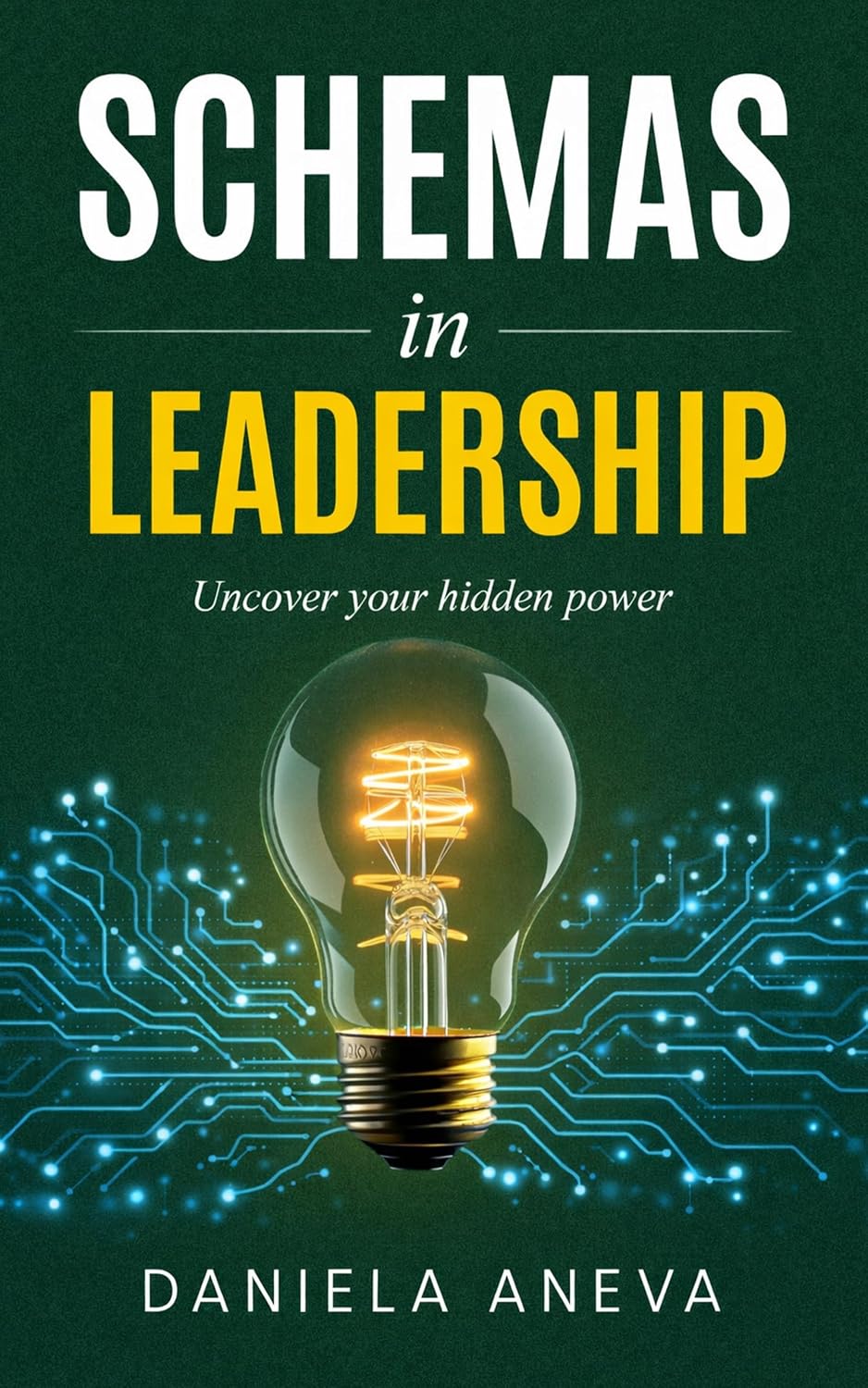 Schemas in Leadership book cover by Daniela Aneva